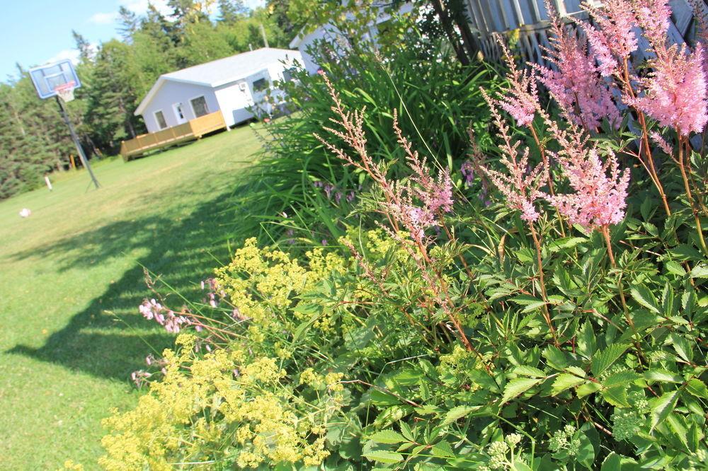 Hidden Acres Cottages Cavendish Bagian luar foto