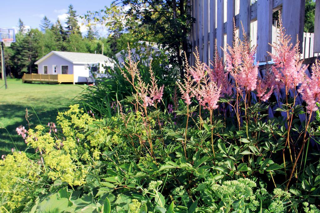 Hidden Acres Cottages Cavendish Bagian luar foto