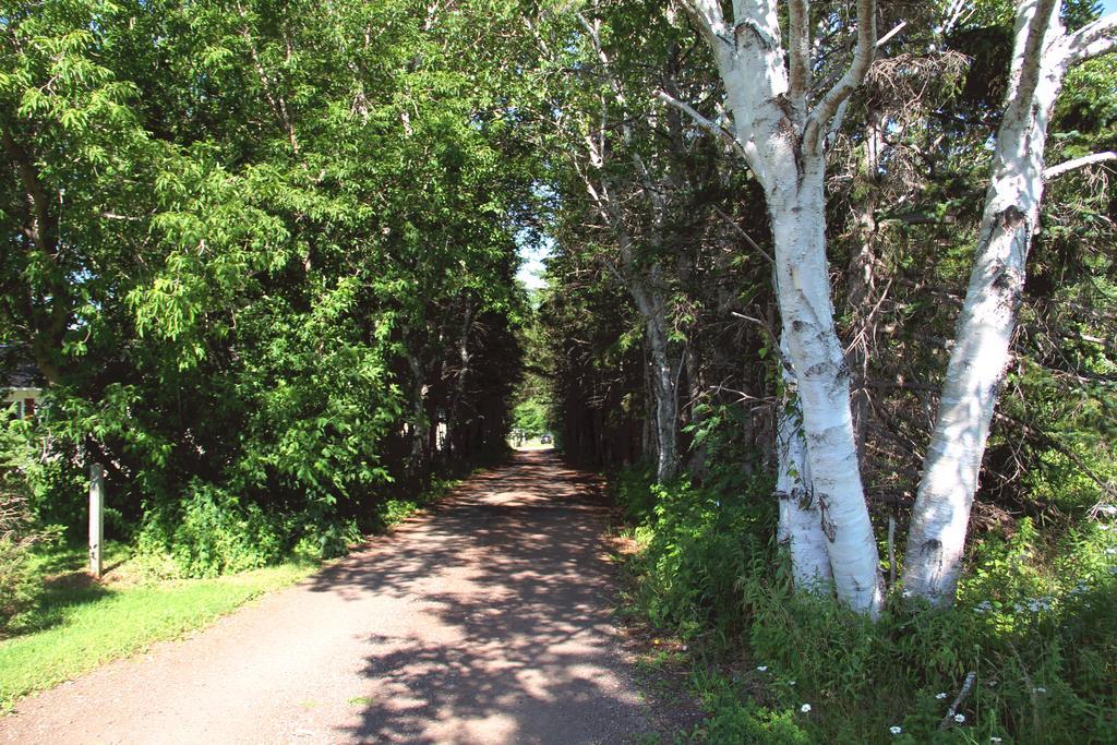 Hidden Acres Cottages Cavendish Bagian luar foto